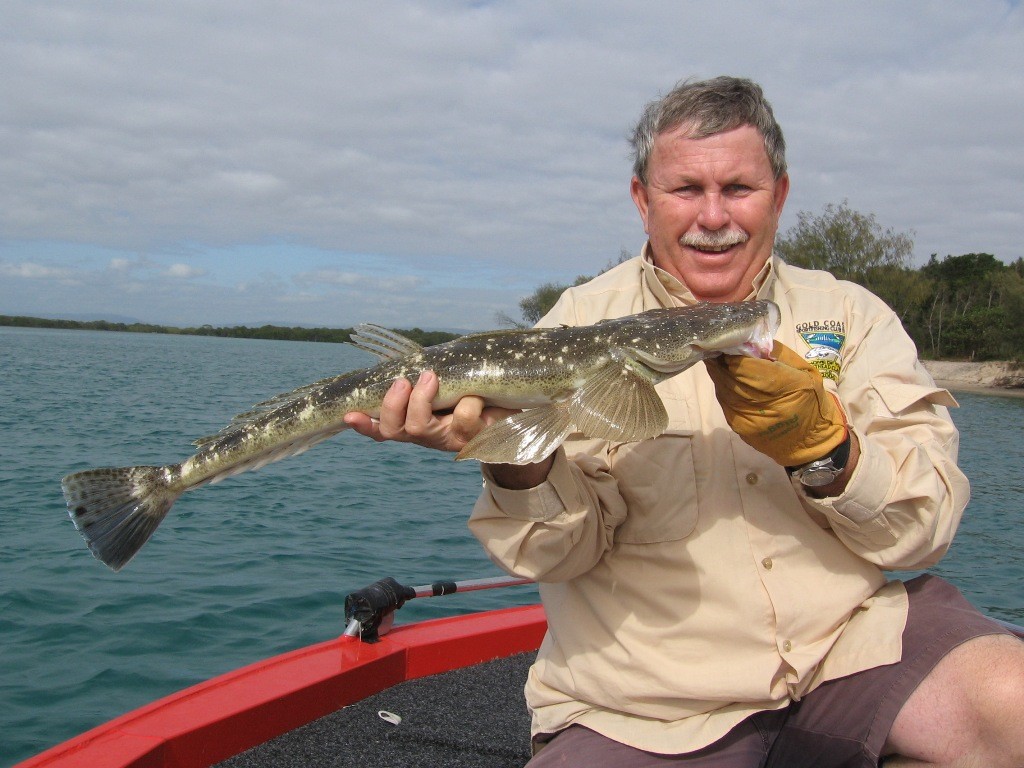 Just remember if you are going to release your next big flathead make sure that you support it well © Gary Brown